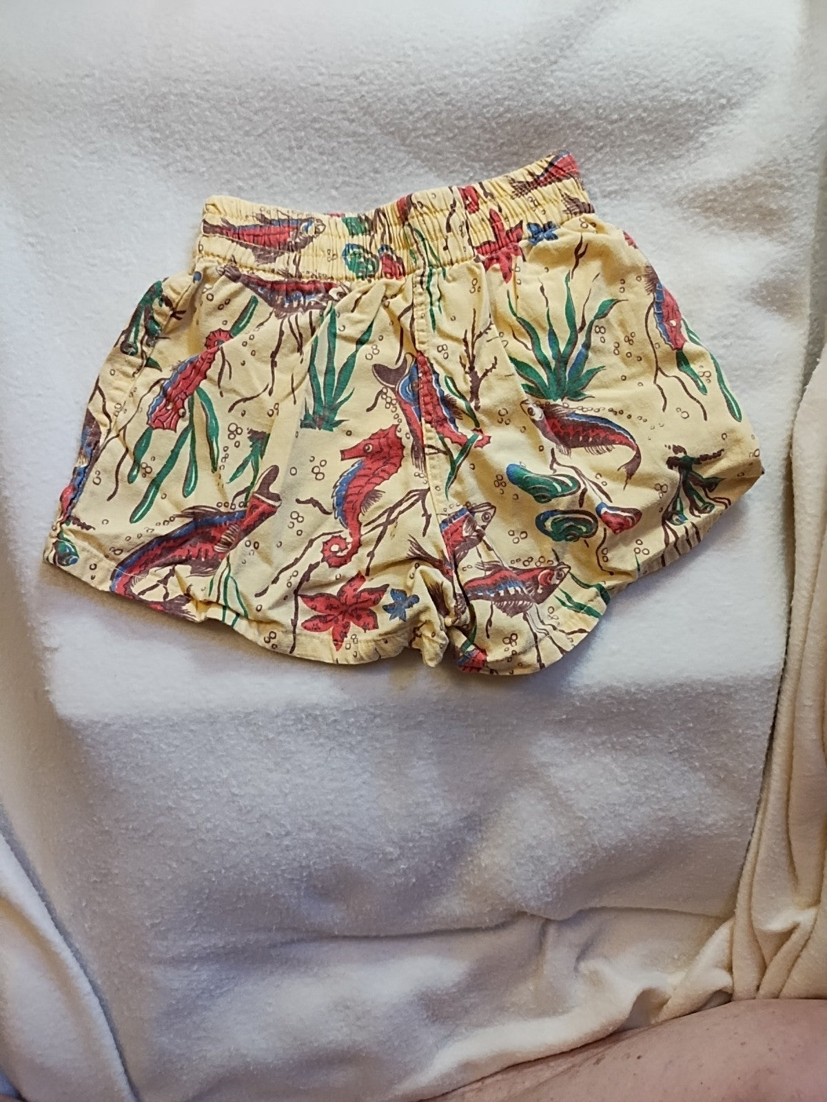 Vintage Twigs Boys Bathing Suit