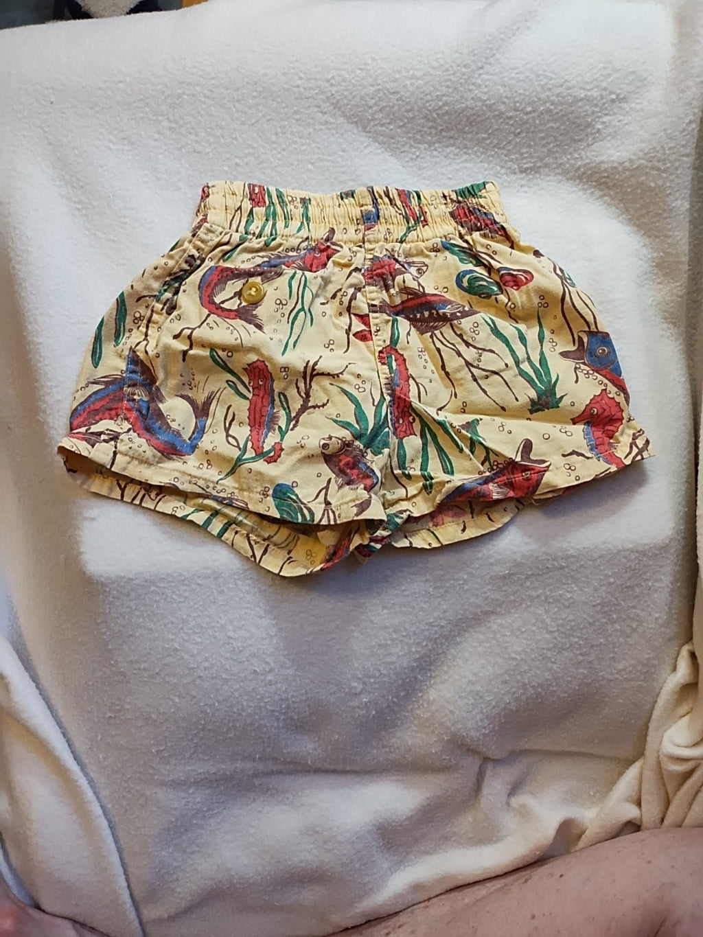 Vintage Twigs Boys Bathing Suit
