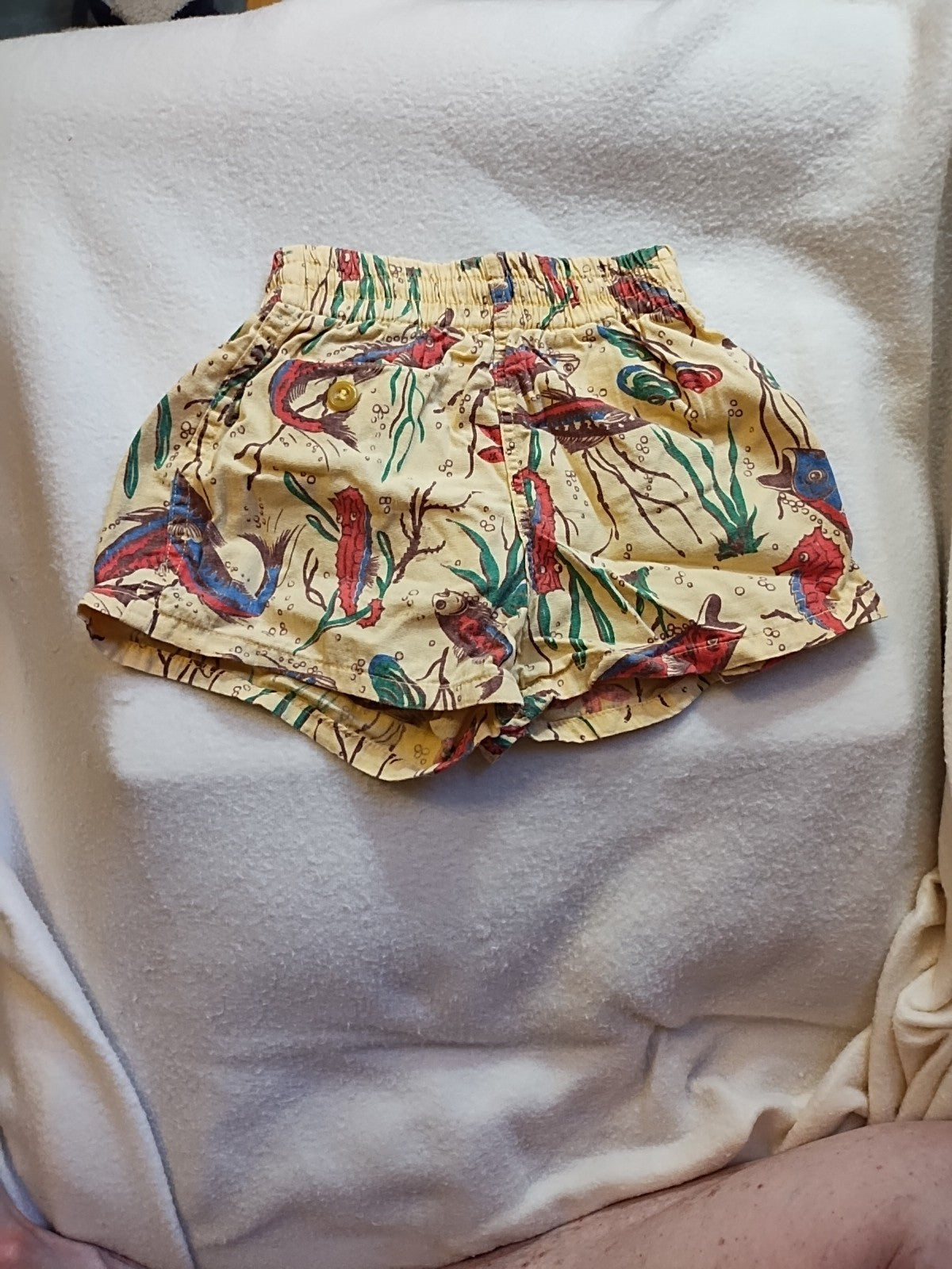 Vintage Twigs Boys Bathing Suit